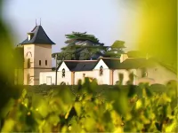 Domaine de la Soucherie - Chambres d'hôtes Hotels in Chavagnes