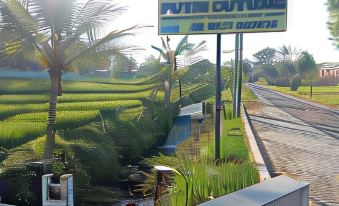 Putri Duyung Guest House