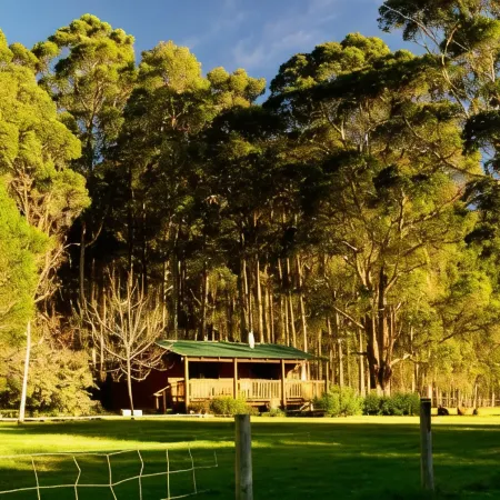 Diamond Forest Farm Stay
