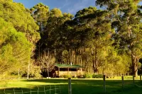 Diamond Forest Farm Stay Hotels in Manjimup