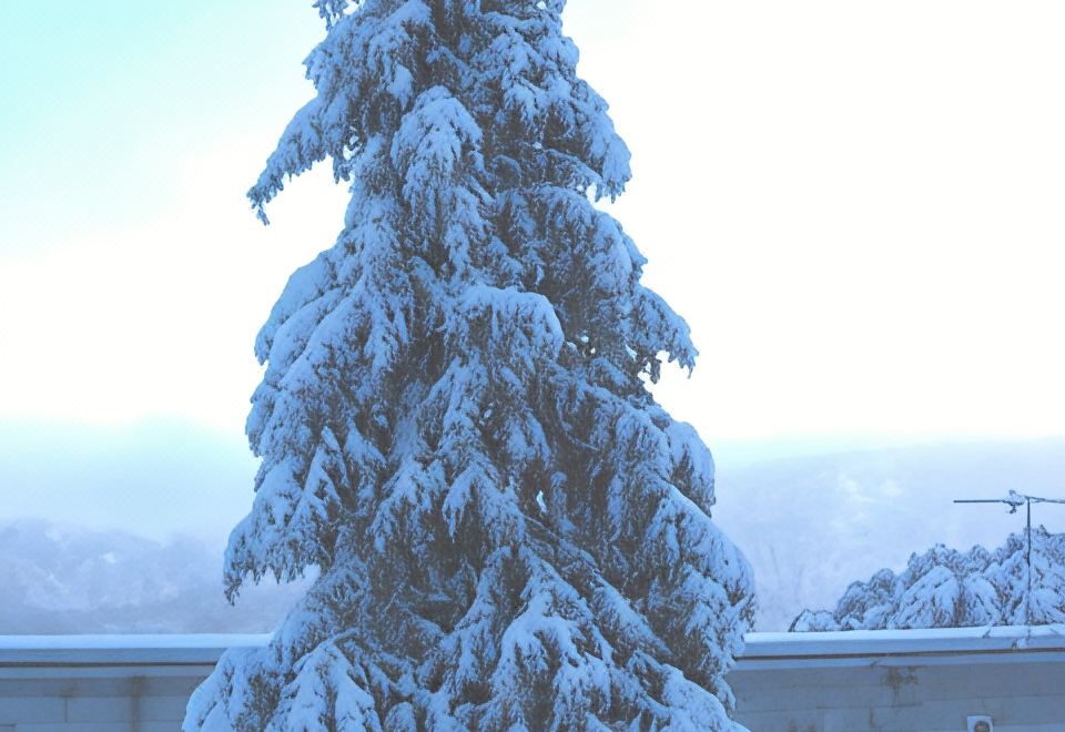 카렐리아 알파인 로지
