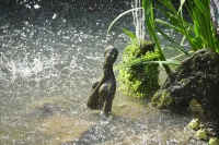 Sanencheong Namsayedamchon Yedam Hanok Stay