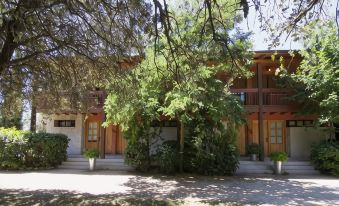 Hotel Sara De Ur - Housity
