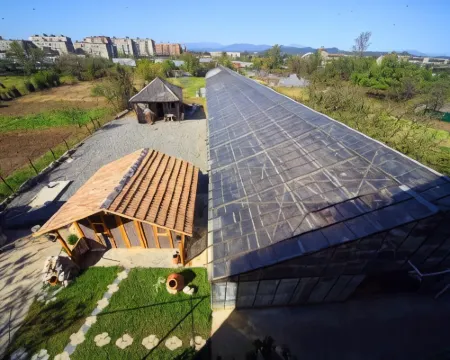 Hotel Harmony Hotels in Kutaisi