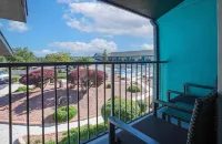 Hotel Elev8 Flagstaff, Trademark Collection by Wyndham - วิว