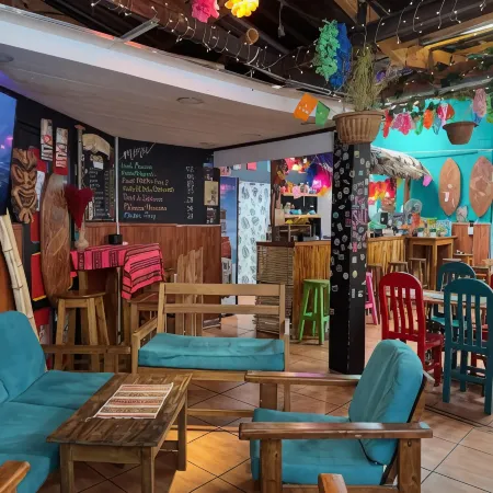 Lobo Hostel la Paz