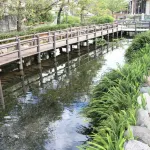 Saijo Central Hotel - 2-Star
