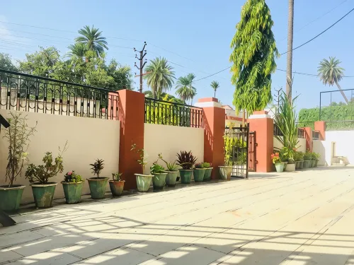 Shelter the Homestay Hotels in Mount Abu