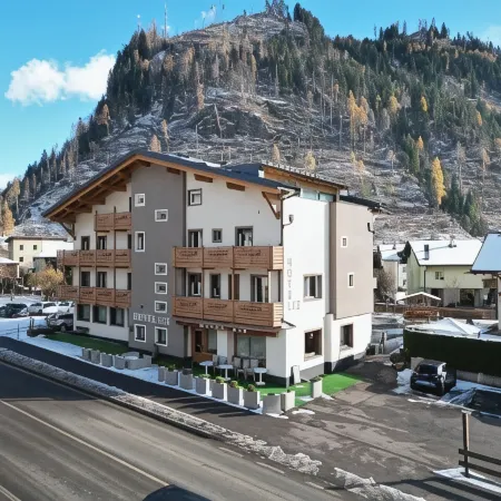Liz Hotel & Apartments Отели в г. Предаццо