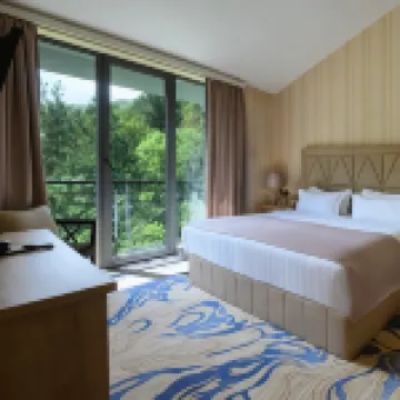 特薩卡德蘇爾極光度假村 酒店