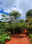 Babylon Lodge - Pet friendly