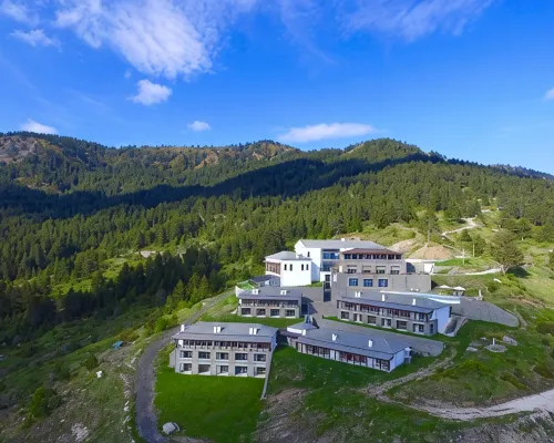 Grand Forest Metsovo - Leading Hotels of the World Hotels in Metsovo