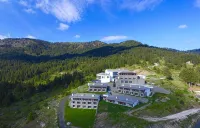 Grand Forest Metsovo - Leading Hotels of the World - bar