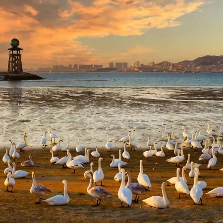 Rezen Weihai Rongcheng Chishan Seaview Hotel