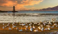 Rezen Weihai Rongcheng Chishan Seaview Hotel - Mountain view