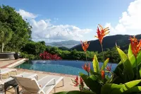 Where Dreams Come True -                              No Pets Allowed - Villas