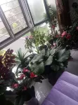 Yuelai Homestay - bar