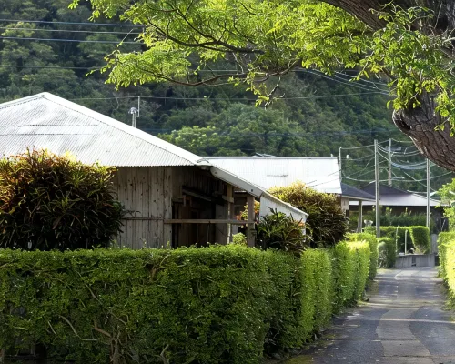 Denpaku Umimiru Yane No Yado <Amamioshima> Hoteles en Setouchi