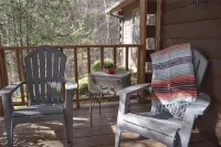 Forest Therapy - Exactly What You're Looking For! - Gym