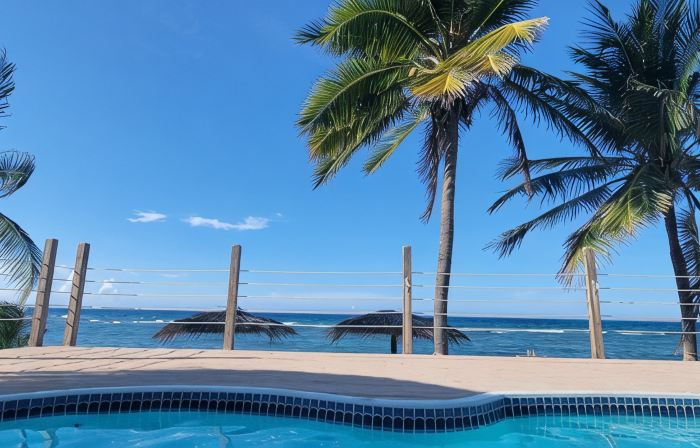 BeachPlumVilla - Snorkeler's Paradise