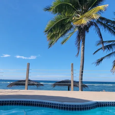 BeachPlumVilla - Snorkeler's Paradise
