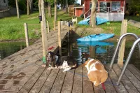 Cozy Private Lake Cottage Minutes to Lake George & Saratoga Springs Pet Friendly