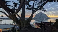 PEEK BAY/OCEAN VIEWS! WALK TO ALL!-500 sq.ft. King bed, full bath, Dog Friendly!