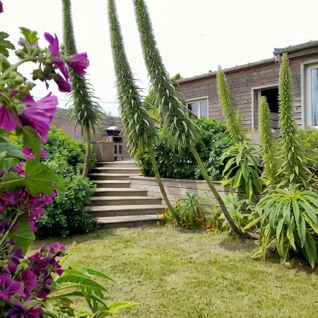 "Chez Marinette" in Morgat House & Garden, Walking Distance from the Beach Crozon Peninsula