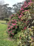 Misty farm in the mist in the hills among the wild life and the stars at night - บังกะโล