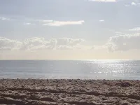 2 Bed apartment opposite the beach Hotels in Miami