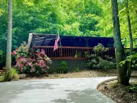 Cozy cabin getaway close to hiking, skiing, sightseeing, and Bristol! - Hytter
