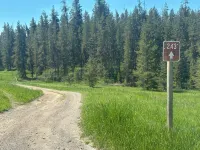 Moose Meadows, a haven of wildlife, beside Yellowstone and Grand Teton Parks. - Chalets