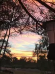 Beautiful Tent at Camp Northern Lights! - Homestays