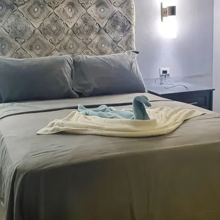 Almond Tree Studio - Modern A/C Apartment w/2 Queen beds in St. James