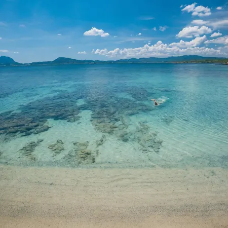 The Pelican Beach Resort & Spa - Adults Only