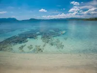 The Pelican Beach Resort & Spa - Adults Only - Beach