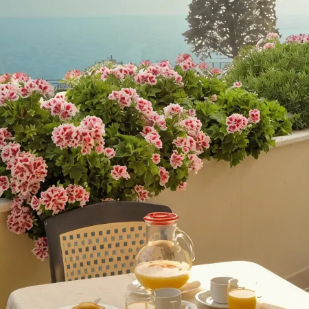 Hotel le Roi