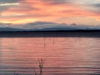 Bay Cottage Bed & Breakfast Hotels in Belfast