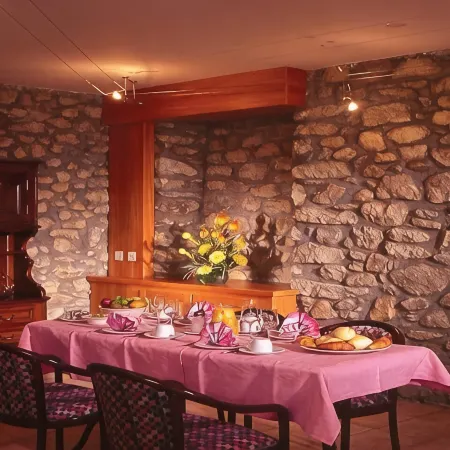 Hotel du Pigne Отели в г. Эволен