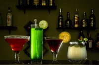 Clarks Safari Pushkar - bar