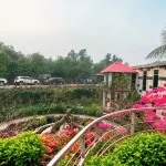 Mangrove Haven Resort - 2-Star