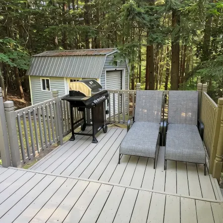 Peaceful cabin hideaway with fire pit & hot tub only 3 blocks from Walloon Lake