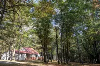 Large Creekside Cabin in the Huron National Forest - outdoor recreation mecca