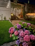 Eleonora Bed & Breakfast Hotels in 