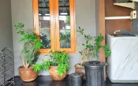 Panda Homestay Jogja - 2 stelle