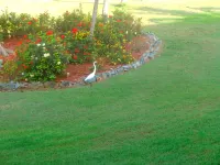 Location, Location, Location - Right on The Beach - Simply The Closest and Best - Beach