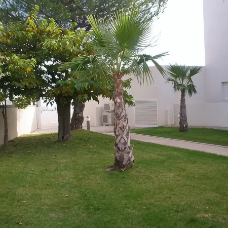 Beachside sea views, aircon, internet, modern, private parking