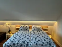 Spacious and luxurious wellness villa in Noordwijk with large private garden - 民宿