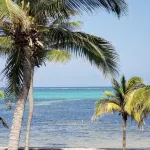 Oceanfront 2/2 condo - 民泊