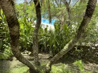Cupecoy ocean view 2BR condo - pools/private beach - 2-Star